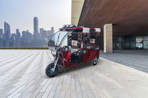 SN Solar Energy Standard E Rickshaw
