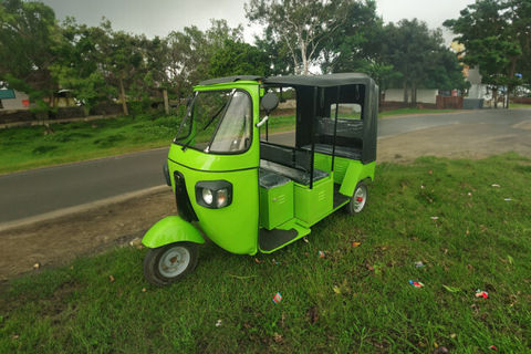 Sniper Electric L3 Passenger 4 Seater/Electric